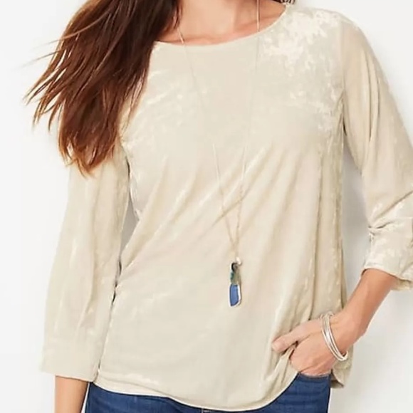 NWT J. Jill Crushed Velvet A-Line Top (4X) - Picture 1 of 16